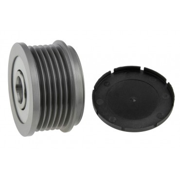 Poulie d'Alternateur Pour VW Fiat Iveco 038903018E 71723401 504009978 038903119L