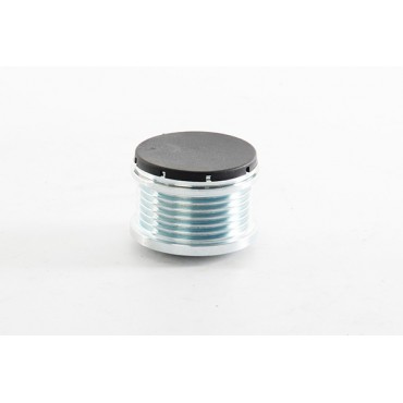 Poulie d'Alternateur Pour Ford B-Max Mazda Volvo AG9T10300BA Y66618300A 31285399