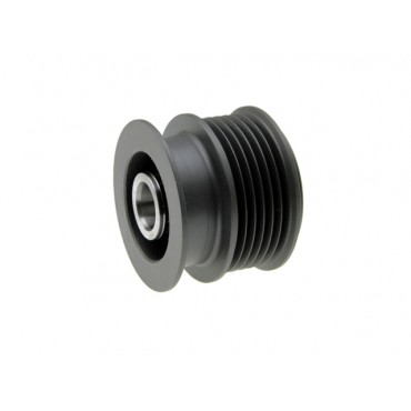 Poulie d'Alternateur Pour Ford Jaguar Land Rover Volvo 9G9N10300BB BJ3210300CA