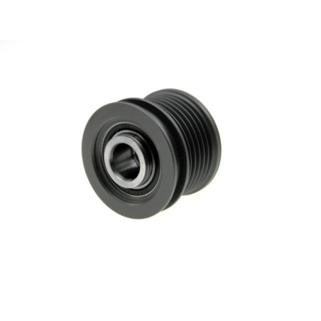 Poulie d'Alternateur Pour Ford Galaxy 1076005 1106734 1406089 6M2110344BA