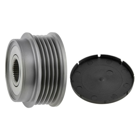 Poulie d'Alternateur Pour Hyundai Terracan Kia Carnival/Grand Carnival III I II