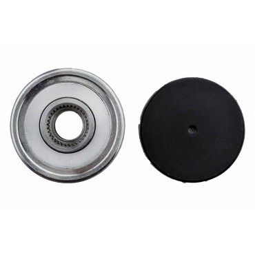 Poulie d'Alternateur Pour Nissan Altima Teana I II X-Trail Nissan (Dfac) Teana