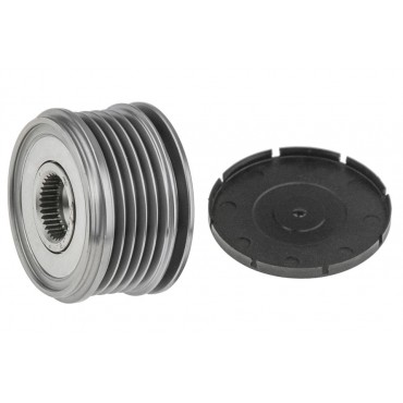 Poulie d'Alternateur Pour Renault Clio II Kangoo Thalia I III Nissan Kubistar