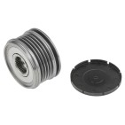 Poulie d'Alternateur Pour Renault Clio II Kangoo Thalia I III Nissan Kubistar