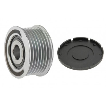 Poulie d'Alternateur Pour Porsche Cayenne Panamera 95560301601 95560301610