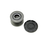 Poulie d'Alternateur Pour Renault Clio III 231000003R 231000012R 7701065385