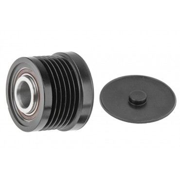 Poulie d'Alternateur Pour Renault Laguna II 8200229907