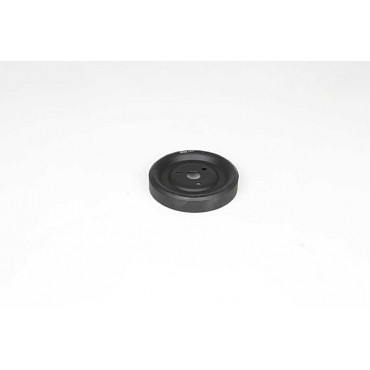 Poulie de Pompe à Eau Pour Peugeot BMW Citroën DS 120447 11517545958 120459