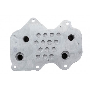 Radiateur d'Huile Moteur Pour VW Phaeton Audi A6 A8