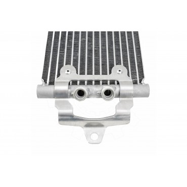 Radiateur d'Huile Moteur Pour VW Audi Q7 Porsche 7L0317021 7L0317021C 7L0317821D