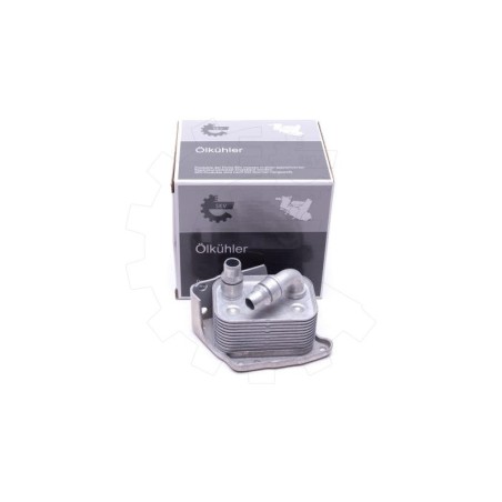 Radiateur d'Huile Moteur Pour BMW Série 1 E81 E82 E87 E88 3 E46 E90 11427508967