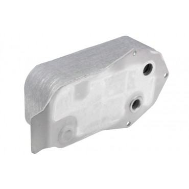 Radiateur d'Huile Moteur Pour BMW Série 1 E81 E87 3 E90 17217529499
