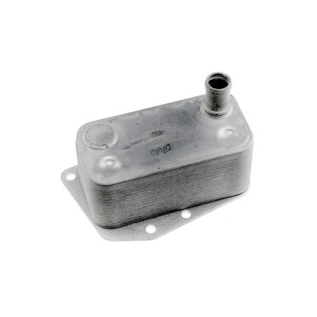 Radiateur d'Huile Moteur Pour BMW Série 1 E87 3 E46 E90 E91 5 E39 11427787698