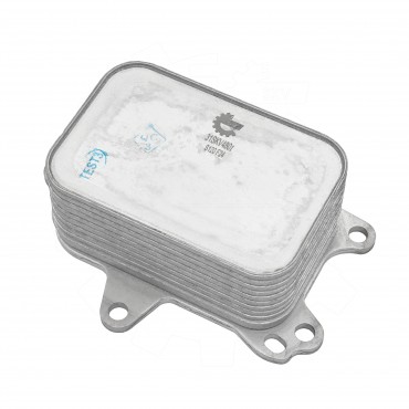 Radiateur d'Huile Moteur Pour Peugeot Opel Citroën DS 9804281280 3646429