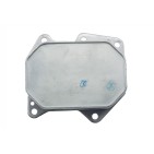 Radiateur d'Huile Moteur Pour Peugeot Fiat Ford Citroën BK2Q6B624BB BK2Q6B624CD