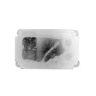 Radiateur d'Huile Moteur Pour Ford Jaguar Land Rover 1C1Q6B624AE 1C1Q6B624AG