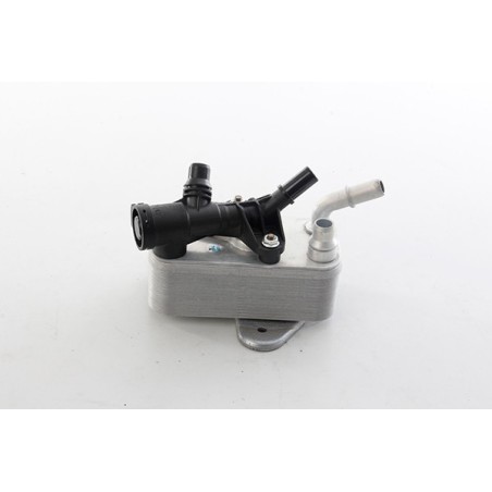 Radiateur d'Huile Boite Auto Pour BMW X6 E71, E72 17217800408 7800408