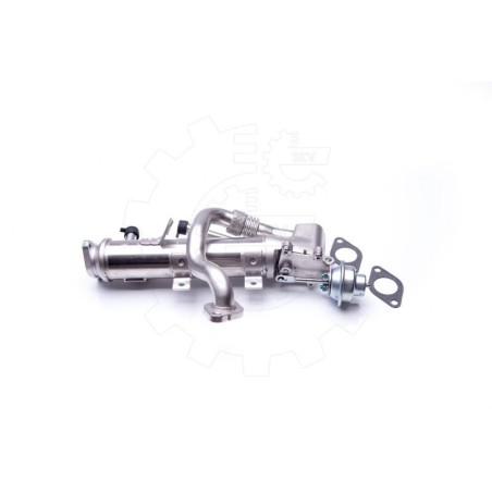 Radiateur de Vanne EGR Pour Audi A4 A5 A6 Q5 Seat Exeo
