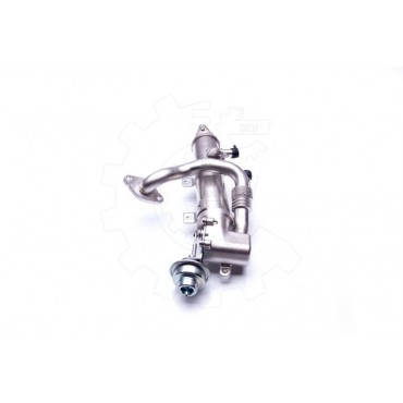 Radiateur de Vanne EGR Pour Audi A4 A5 A6 Q5 Seat Exeo