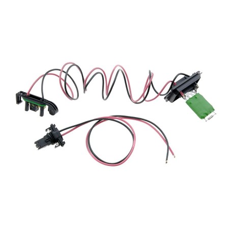 Résistance Chauffage Ventilation Pour Renault Clio III Modus 7701060001