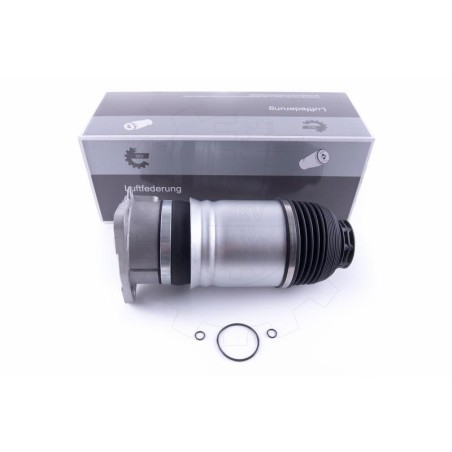 Amortisseur Pneumatique Arrière Gauche Pour Audi A8 4E0616001 4E0616001D