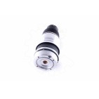 Amortisseur Pneumatique Avant Droit Pour VW Audi Porsche 95535840400 95535840410