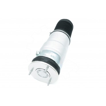 Amortisseur Pneumatique Arrière Pour BMW 37126791675 37126791676 37126794139