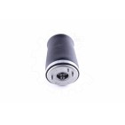 Amortisseur Pneumatique Arrière Gauche Pour BMW X5 E53 37121095579 37126750355