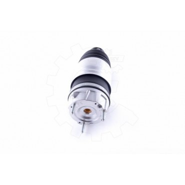 Amortisseur Pneumatique Avant Droit Pour VW Touareg Porsche Cayenne 7P6616040K