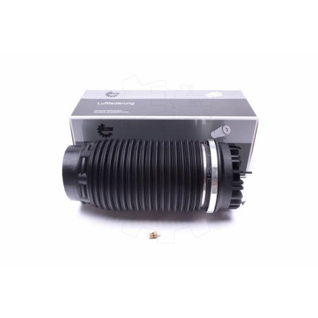 Amortisseur Pneumatique Arrière Pour RAM 1500 Crew Cab Pick-up 68248948AA