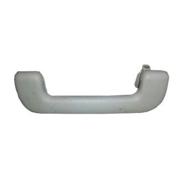 Poignée de Maintien Avant Pour RENAULT CLIO II 7700420975