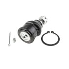 Rotule de Suspension Pour Acura RSX Coupé Honda CR-V II Element FR-V