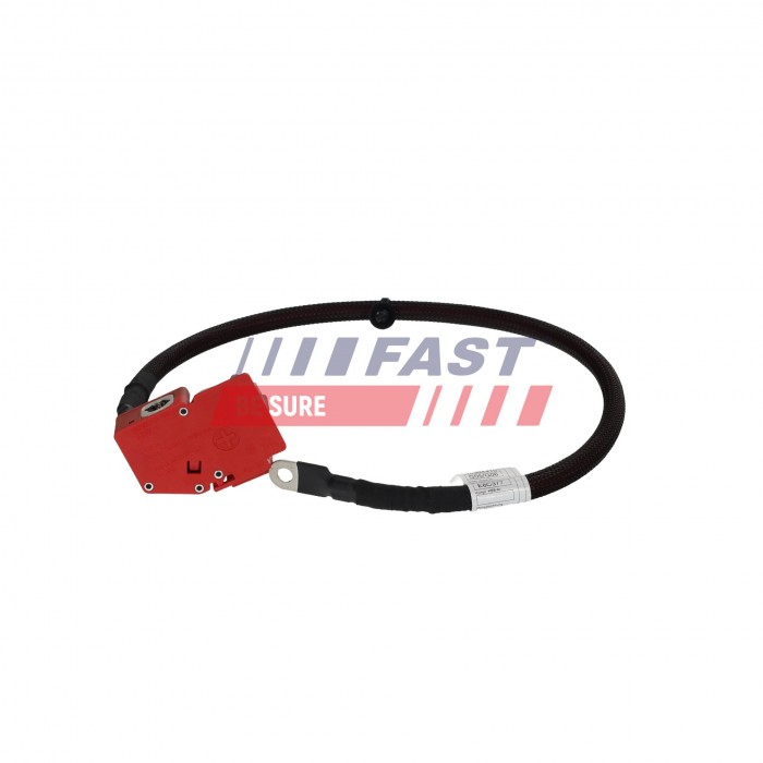 Cable de Batterie Plus Pour BMW X5 F95, G05 61128796040