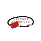 Cable de Batterie Plus Pour BMW X5 F95, G05 61128796040
