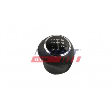 Pommeau Levier de Vitesse Pour Peugeot Fiat Citroën 1607116580 55345260 2403EQ