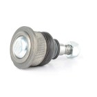 Rotule de Suspension Avant Pour BMW Série 3 E30 1126254 31121126254