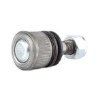 Rotule de Suspension Avant Pour Mercedes-Benz Classe E T-Model S CLS 2113230068