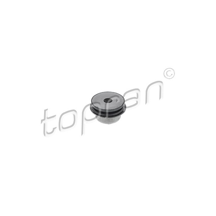 Silent Bloc de Bras de Suspension Arrière Pour Audi A4 8D0505171