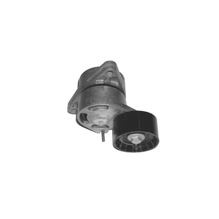 Tendeur De Courroie Pour Interstar Primastar Movano Vivaro Master 1195500Q0