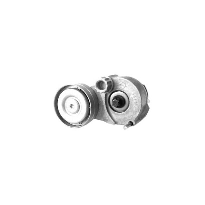 Tendeur De Courroie Pour 159 Cruze Trax Croma Astra Corsa Meriva Zafira 25189926