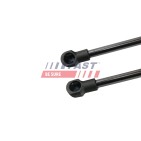 Vérin Hayon de Coffre Pour Volvo V50 30674718