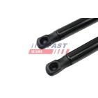 Vérin Hayon de Coffre Pour VW Passat 8D5827550C