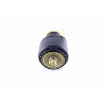 Ressort Pneumatique Arrière Pour BMW Série 5 F07 F11 37106784381