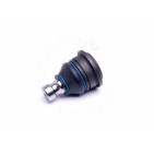Rotule de Suspension Avant Pour Hyundai Equus/Centennial Highway Van 545033B000