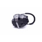 Serrure de Coffre Pour Ford Ecosport CN15A219ANE