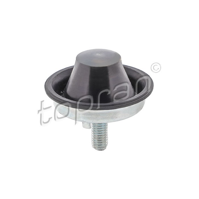Support Moteur Avant Droit Pour Peugeot 206 1844A2