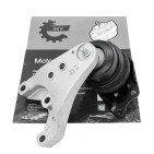 Support Moteur Droit Pour VW Seat Skoda 6Q0199167CA 6Q0199167CQ 6Q0199167DH