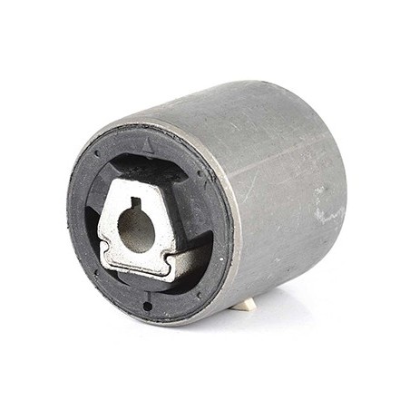 Silent Bloc de Bras de Suspension Pour BMW X5 E53 1096372 31121096372