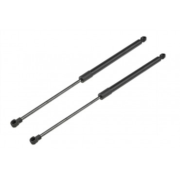 x2 Vérin Hayon de coffre pour CITROËN C3 II SC_ 8731T9