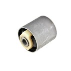 Silent Bloc de Bras de Suspension Pour Land Rover Discovery III Van IV RGX500211